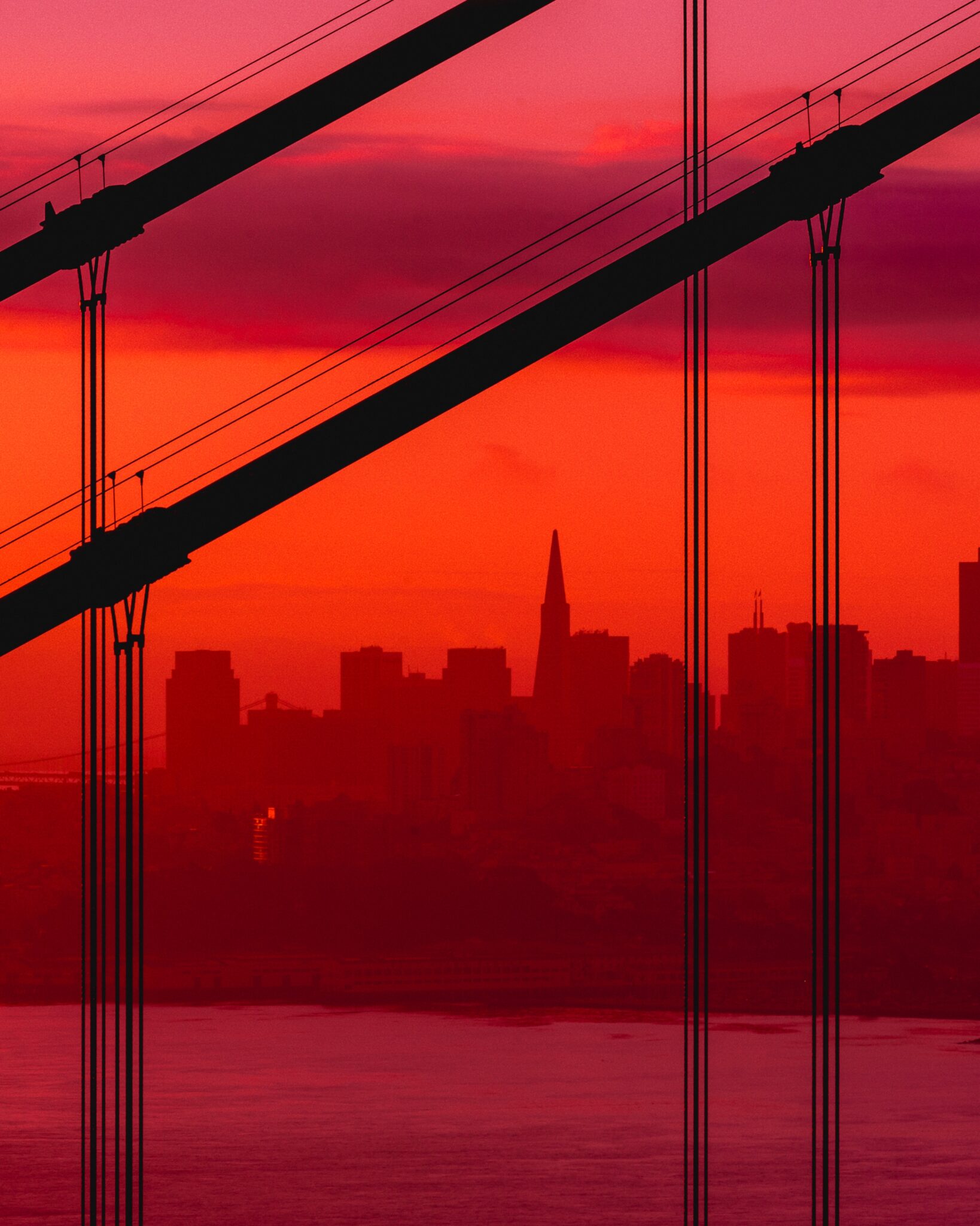 image description coming soon