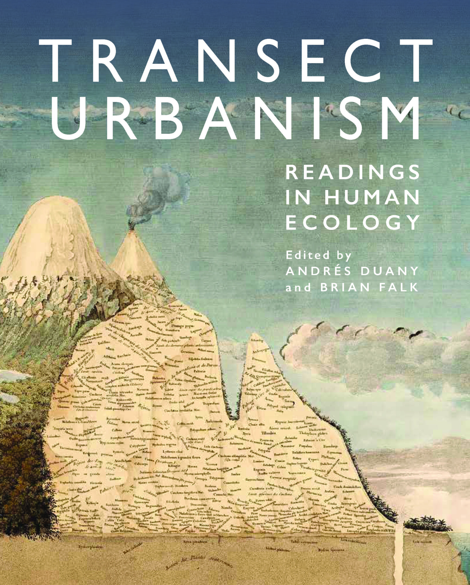 image description coming soon