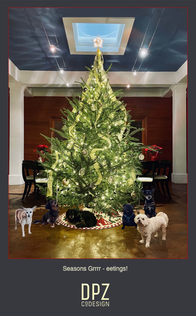 image description coming soon