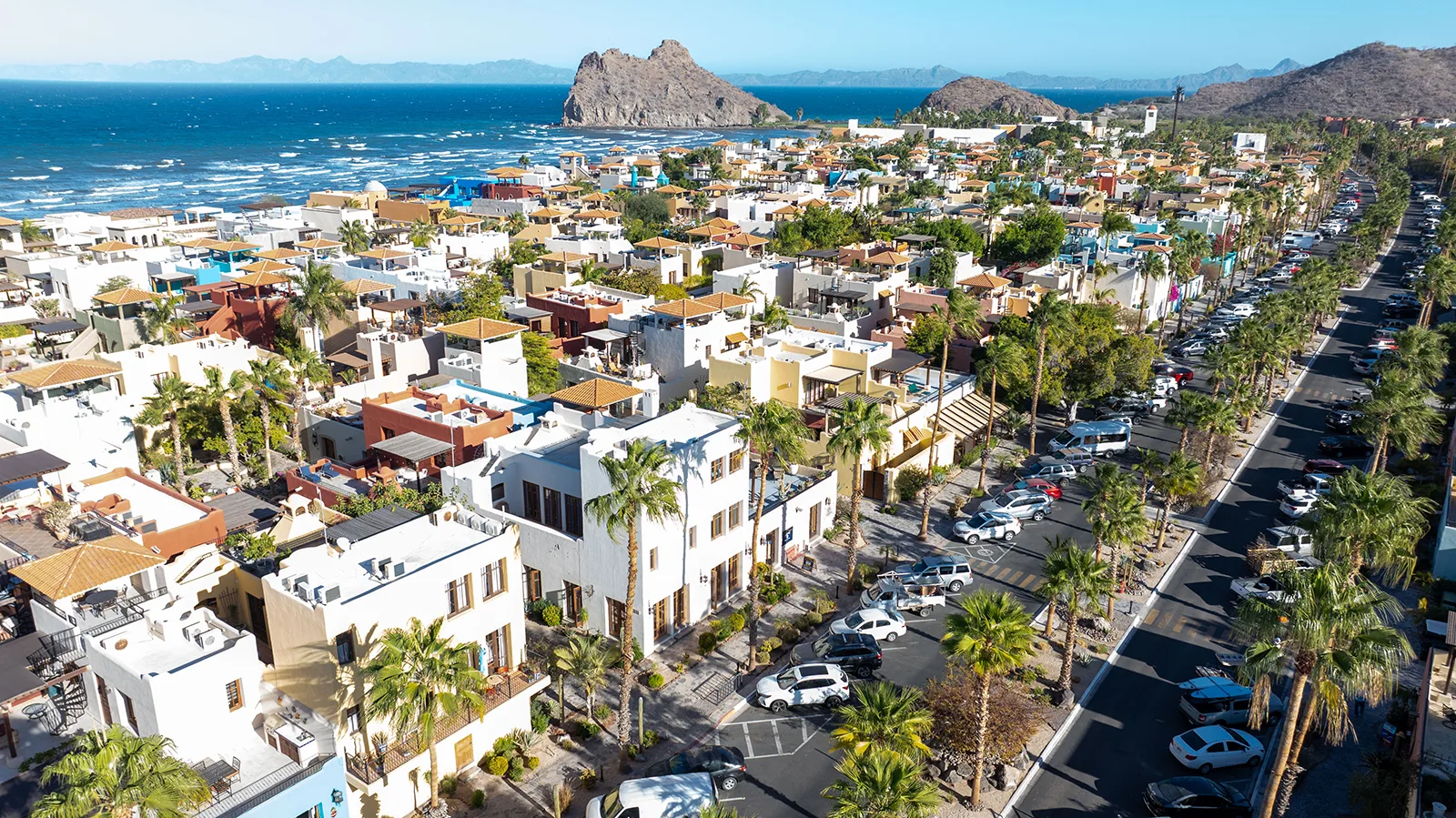 image description coming soon